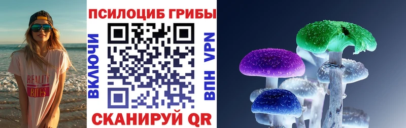 Купить закладки  Фрязино  Псилоцибиновые грибы прущие грибы 
